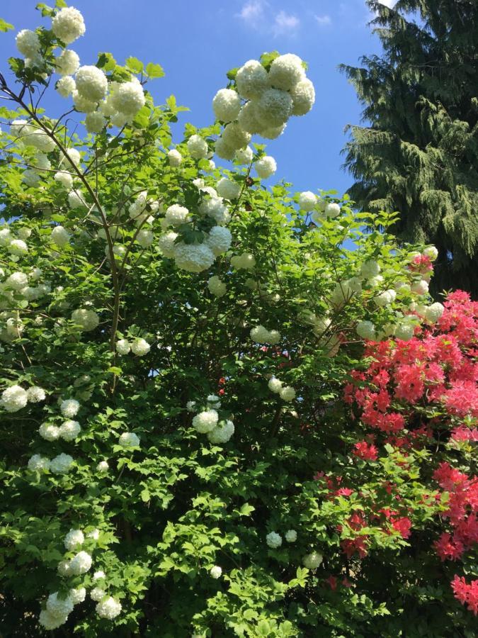 Les Jardins De Beaumont Panzió Hem Kültér fotó